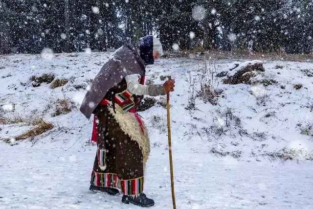 冬日甘南：雪域秘境的终极召唤