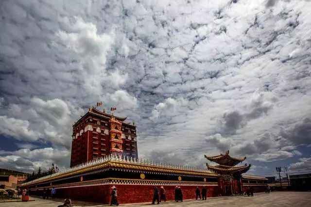 冬日甘南：雪域秘境的终极召唤