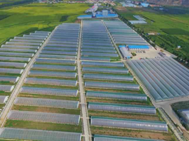 奥仁格管道:吉林热浸塑涂塑钢管驱动金丰现代农业园GRS高效节能温室革命 奥仁格管道:吉林热浸塑涂塑钢管驱动金丰现代农业园GRS高效节能温室革命