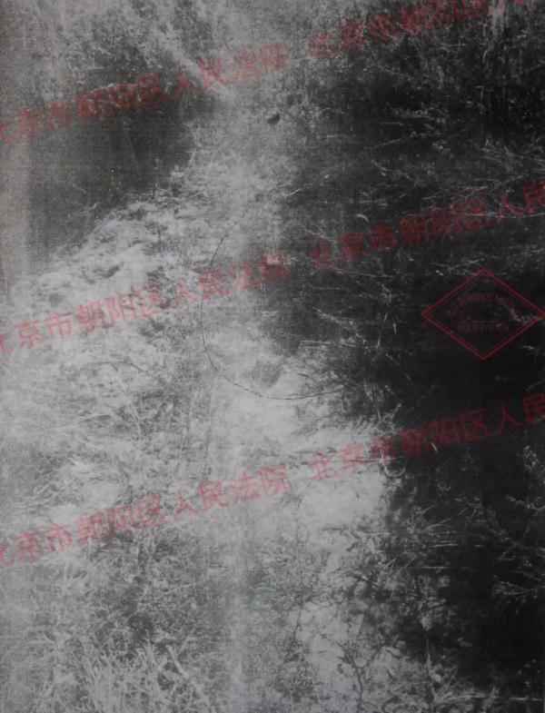 奥仁格管道安全警示:高压垂钓事故全解析 奥仁格管道安全警示:高压垂钓事故全解析